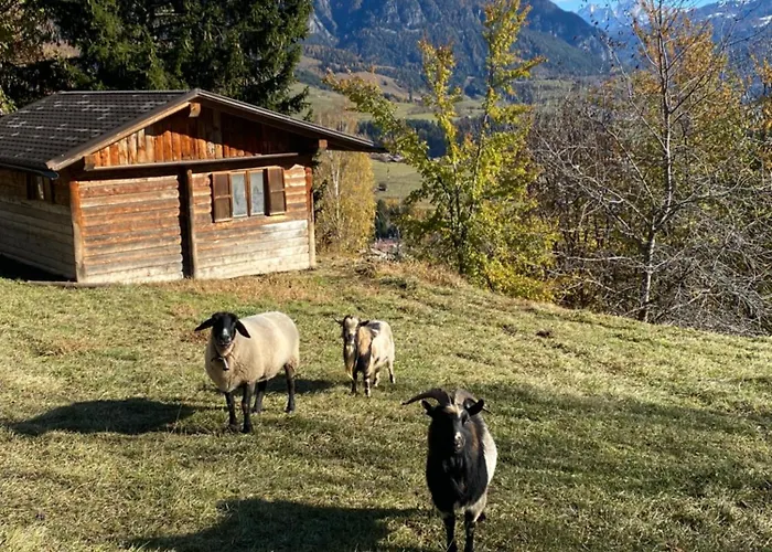 Encia\'S Home Dolomiti