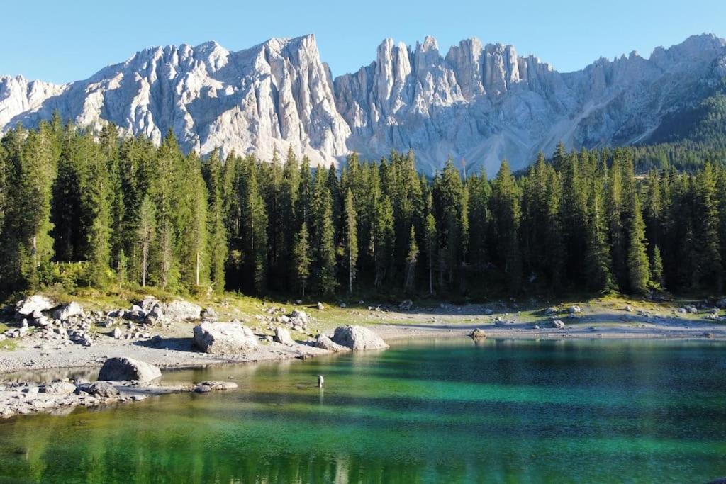 Encia's Dolomiti Castello-Molina di Fiemme